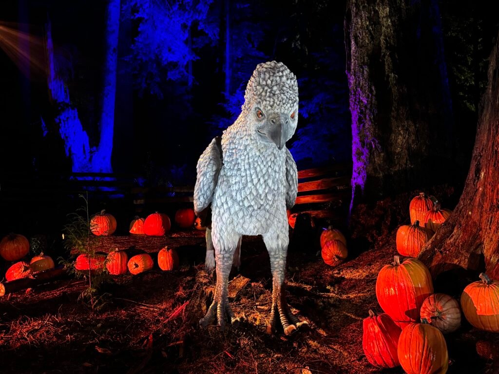 2月1日まで開催延長！バンクーバーでハリー・ポッター体験「Harry Potter™: A Forbidden Forest Experience」開幕　スタンレーパークが「禁じられた森」に