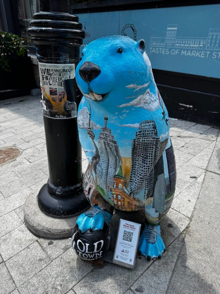 The Great Beaver Quest